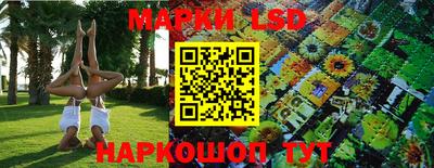 гашиш Кингисепп